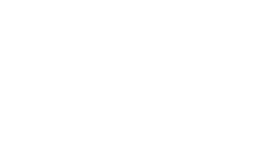 VICHY LOGO BLANCO